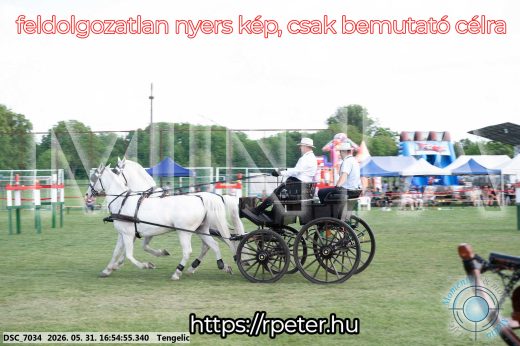 Mintakép 20260531-231