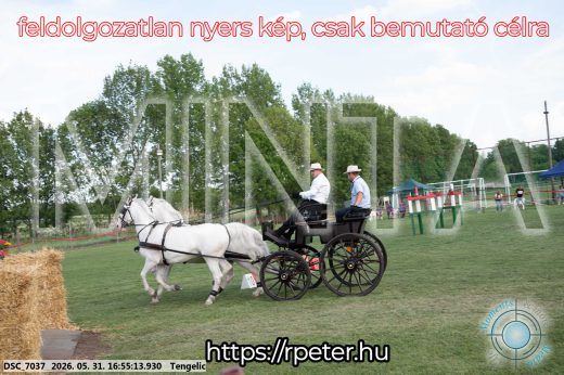 Mintakép 20260531-232