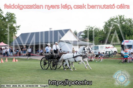 Mintakép 20260531-237