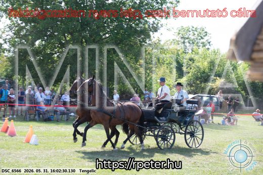 20260531-160230-DSC_6566.jpg