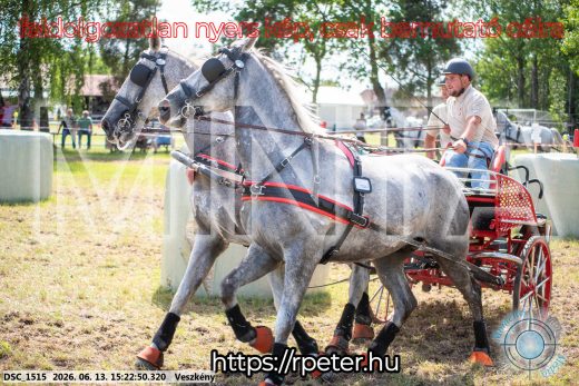 Mintakép 20260613-240