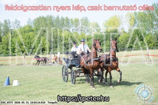 Mintakép 20260531-242