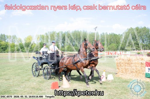 Mintakép 20260531-243