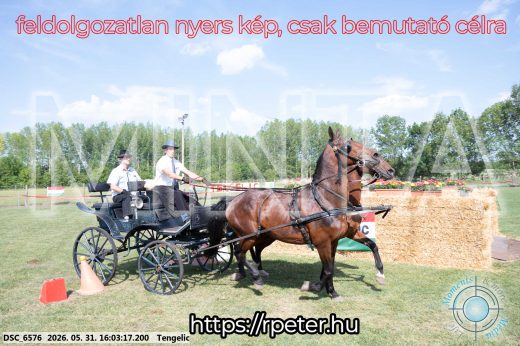 Mintakép 20260531-244