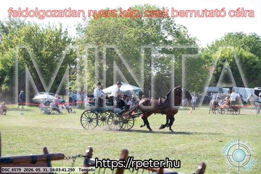 Mintakép 20260531-246