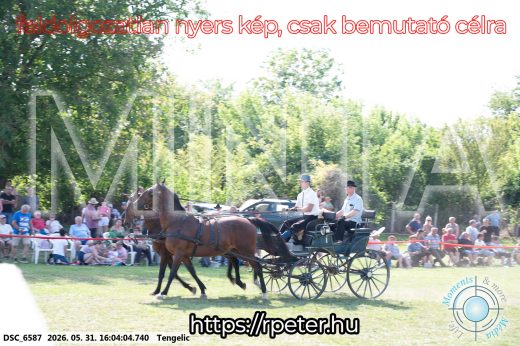Mintakép 20260531-251