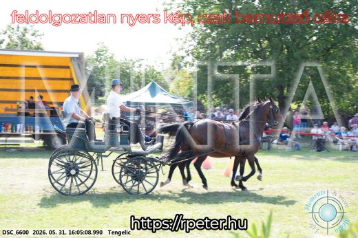 Mintakép 20260531-254