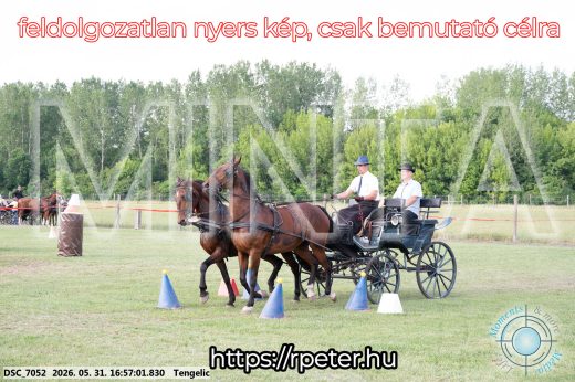 Mintakép 20260531-256