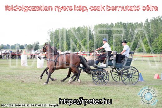 Mintakép 20260531-257