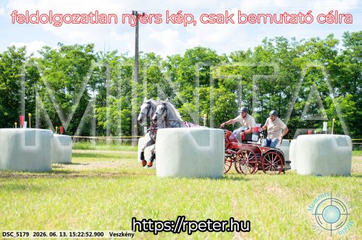 Mintakép 20260613-242