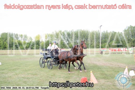 Mintakép 20260531-260