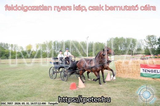 Mintakép 20260531-261