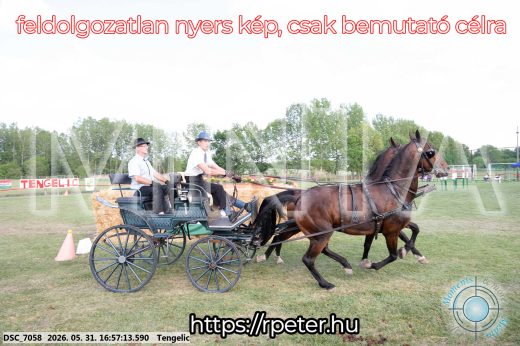 Mintakép 20260531-262