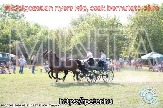 Mintakép 20260531-264
