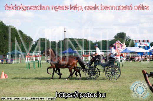 Mintakép 20260531-265