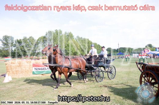 Mintakép 20260531-266