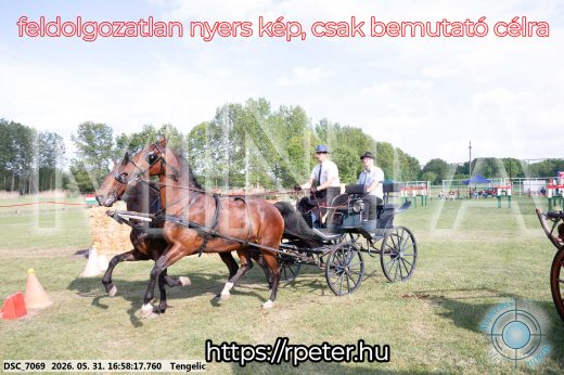 Mintakép 20260531-267