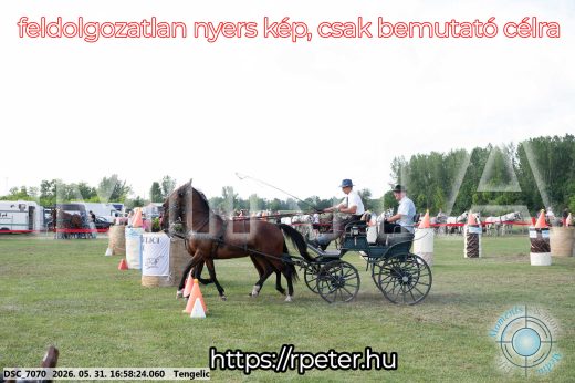 Mintakép 20260531-268