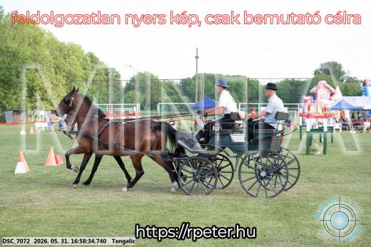 Mintakép 20260531-270