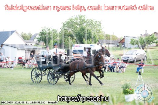 Mintakép 20260531-272