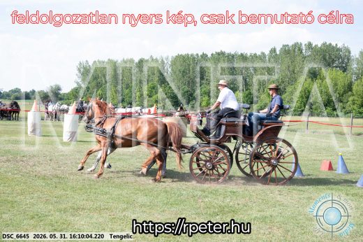 Mintakép 20260531-277