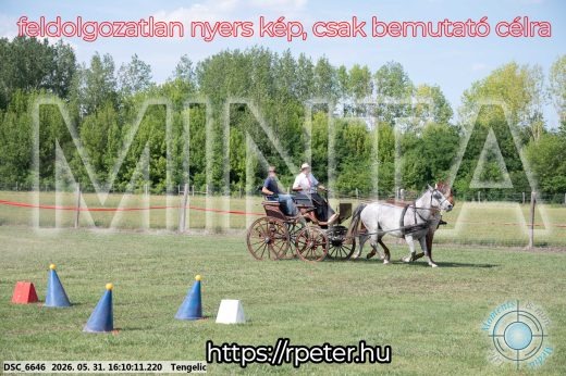 Mintakép 20260531-278