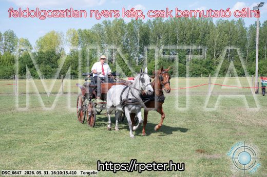Mintakép 20260531-279