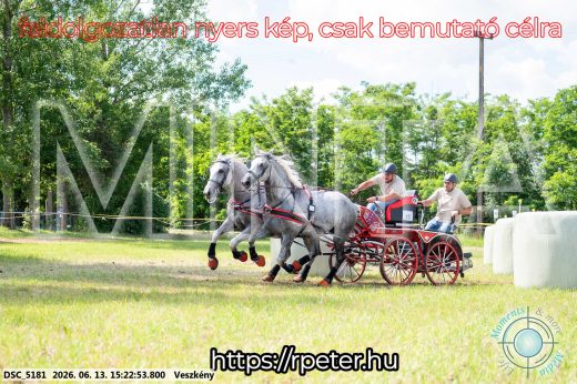 Mintakép 20260613-244