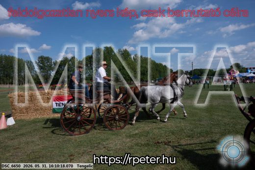 Mintakép 20260531-282