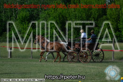Mintakép 20260531-283