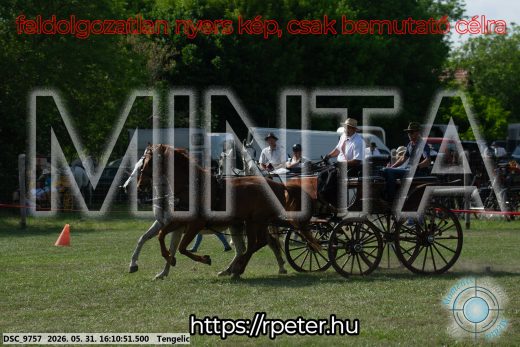 Mintakép 20260531-284