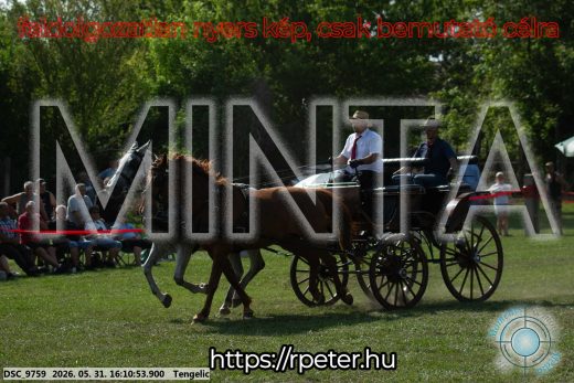 Mintakép 20260531-286
