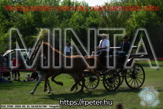 Mintakép 20260531-287
