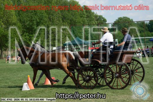 Mintakép 20260531-288