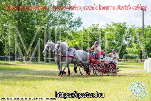 Mintakép 20260613-245