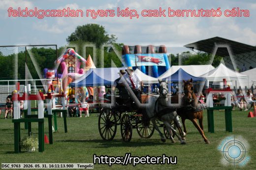 Mintakép 20260531-290
