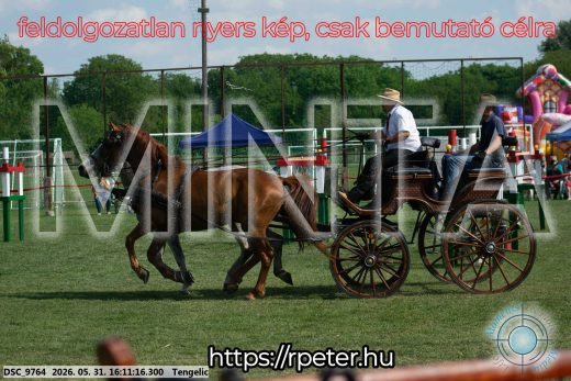 Mintakép 20260531-291