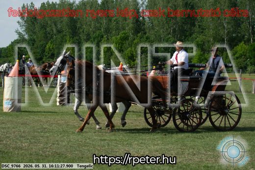 Mintakép 20260531-293
