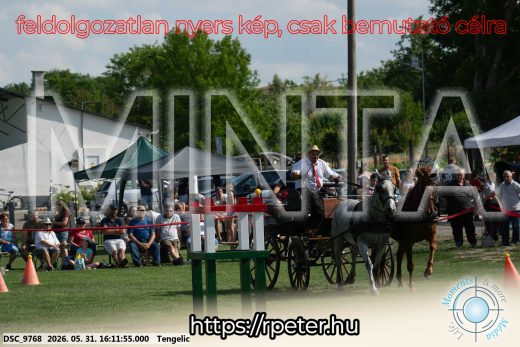 Mintakép 20260531-295
