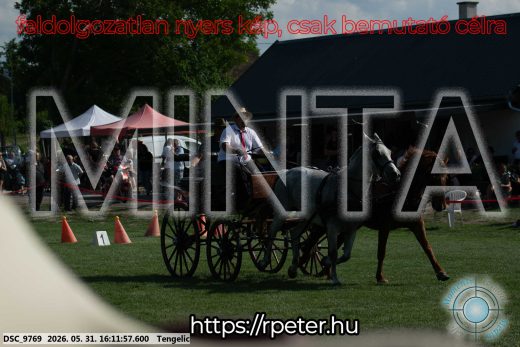 Mintakép 20260531-296
