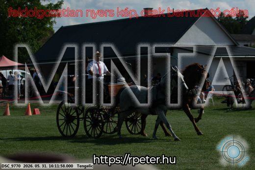Mintakép 20260531-297