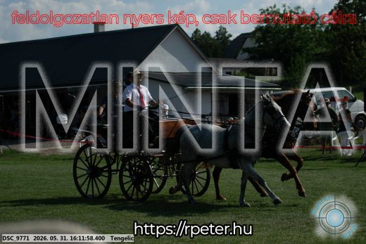 Mintakép 20260531-298