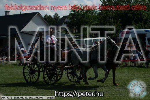 Mintakép 20260531-299