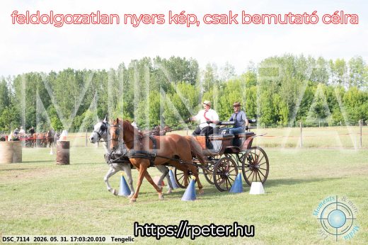 Mintakép 20260531-302