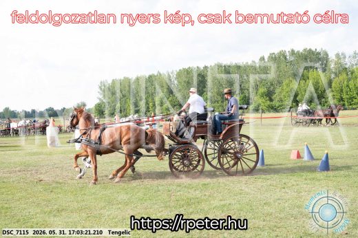 Mintakép 20260531-303