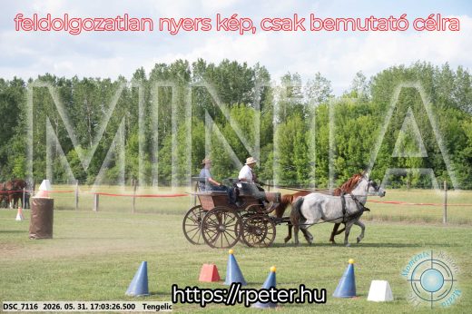 Mintakép 20260531-304