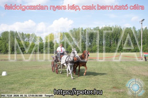 Mintakép 20260531-306