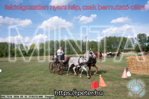 Mintakép 20260531-307