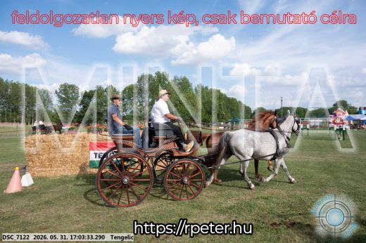 Mintakép 20260531-310