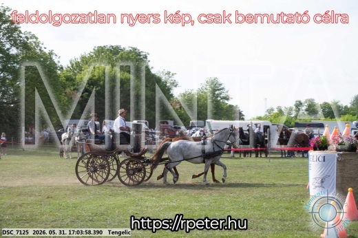 Mintakép 20260531-311